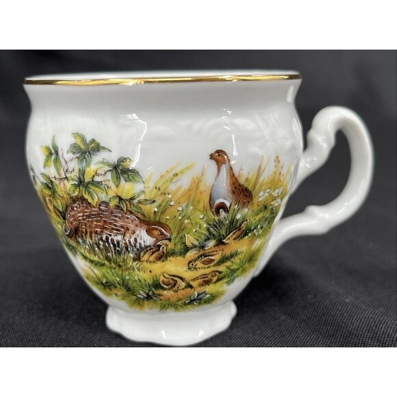 BERNADOTTE CZECH REPUBLIC WILDLIFE GROUSE ESPRESSO DEMITASSE CUP & SAUCER - Picture 5 of 12
